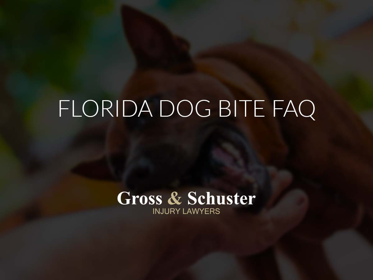 Florida Dog Bite FAQ