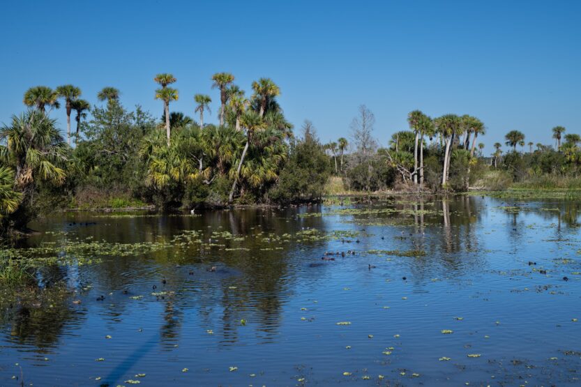 What Happens if I Get Injured at Shoal River Wayside Park in Crestview, FL?