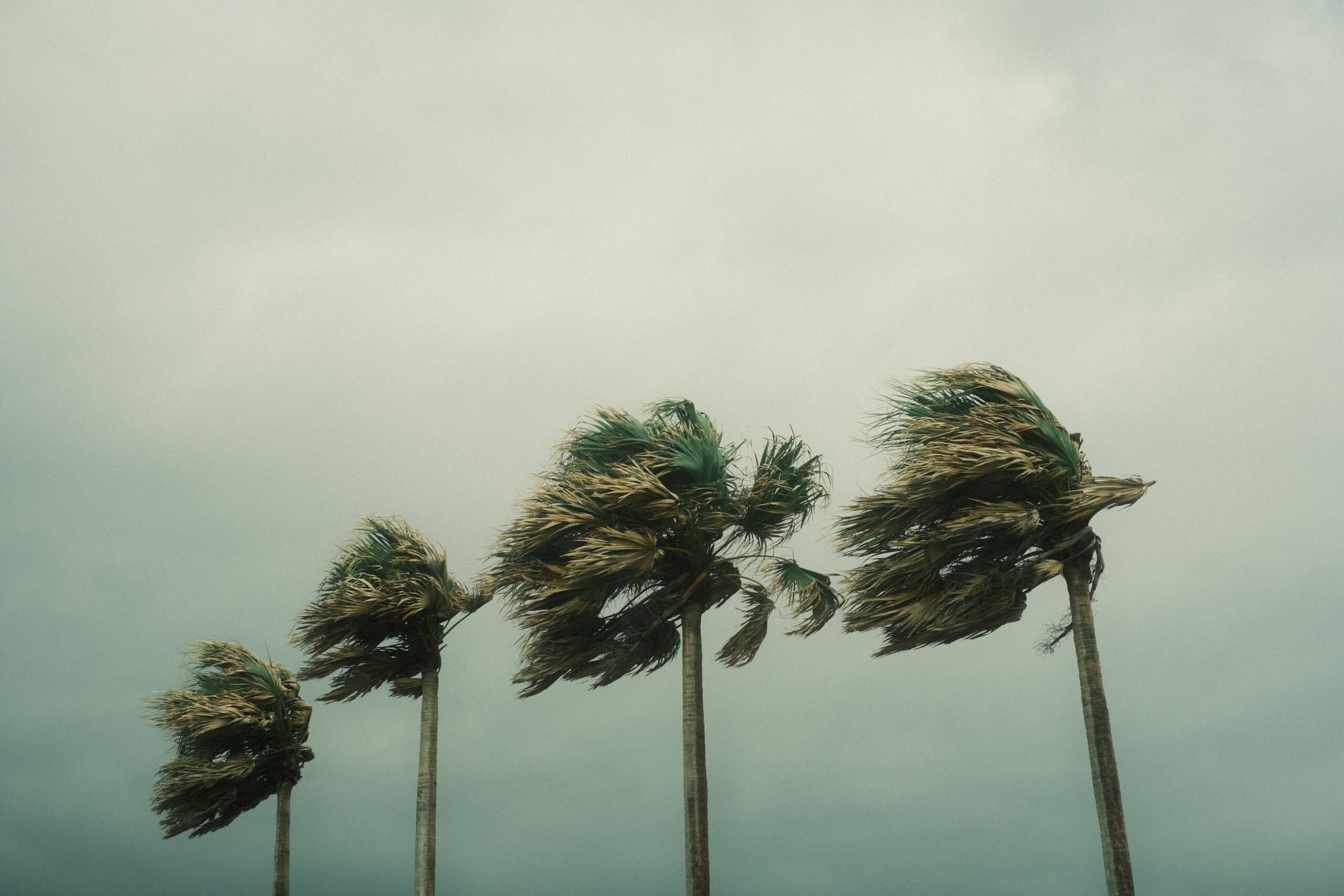 What Are the 5 Categories of Hurricanes?